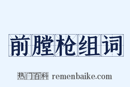 前膛枪组词是什么意思的图片